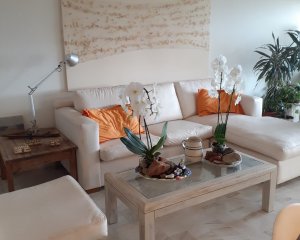 Vendo Hermosa planta
