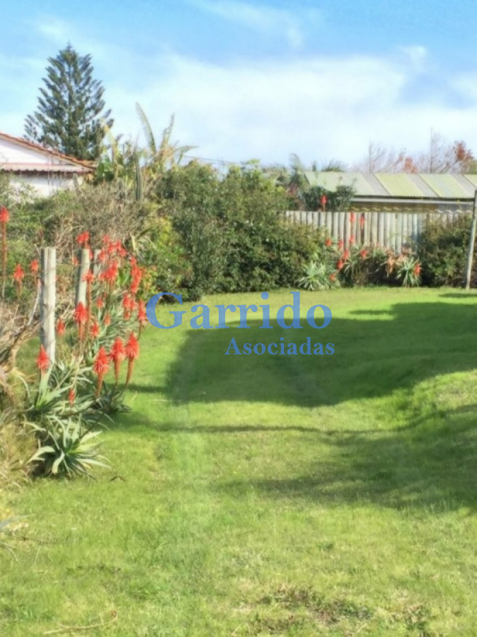 Balneario Buenos Aires - GoPunta - Portal Inmobiliario de Punta del Este - Maldonado