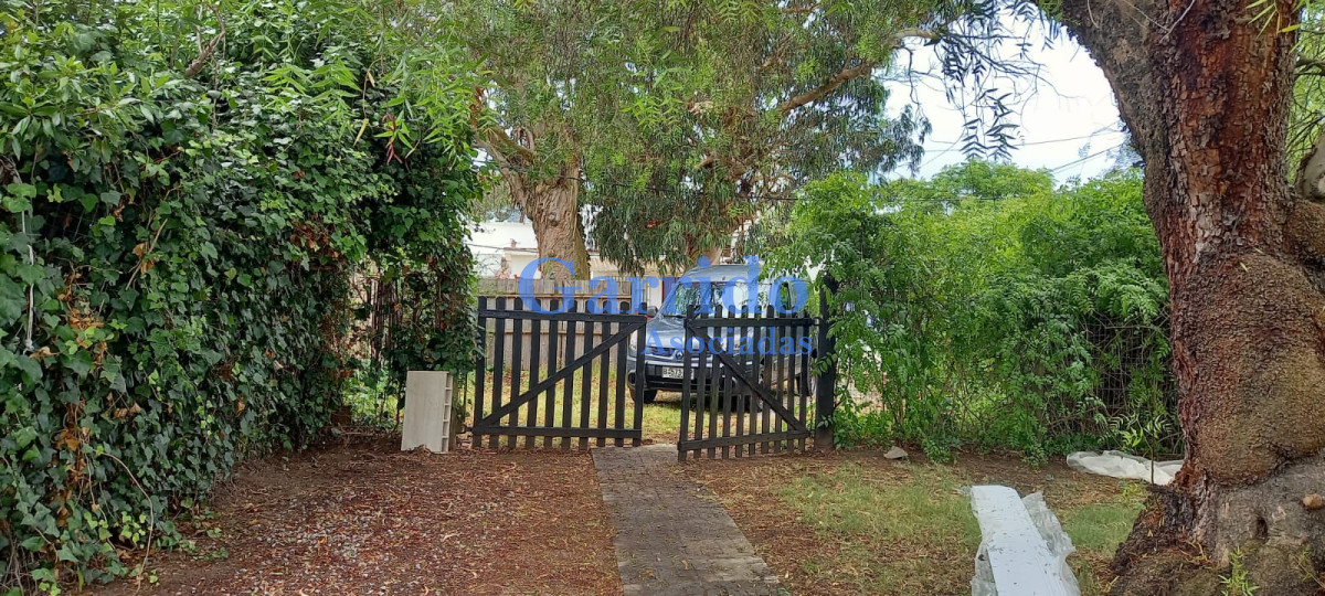 La Pastora - GoPunta - Portal Inmobiliario de Punta del Este - Maldonado