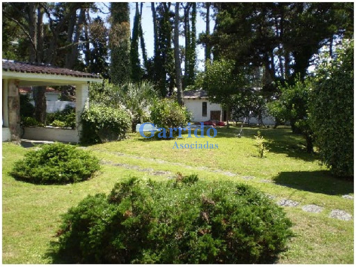 Casa ID.1541 - Alquilo casa en Punta