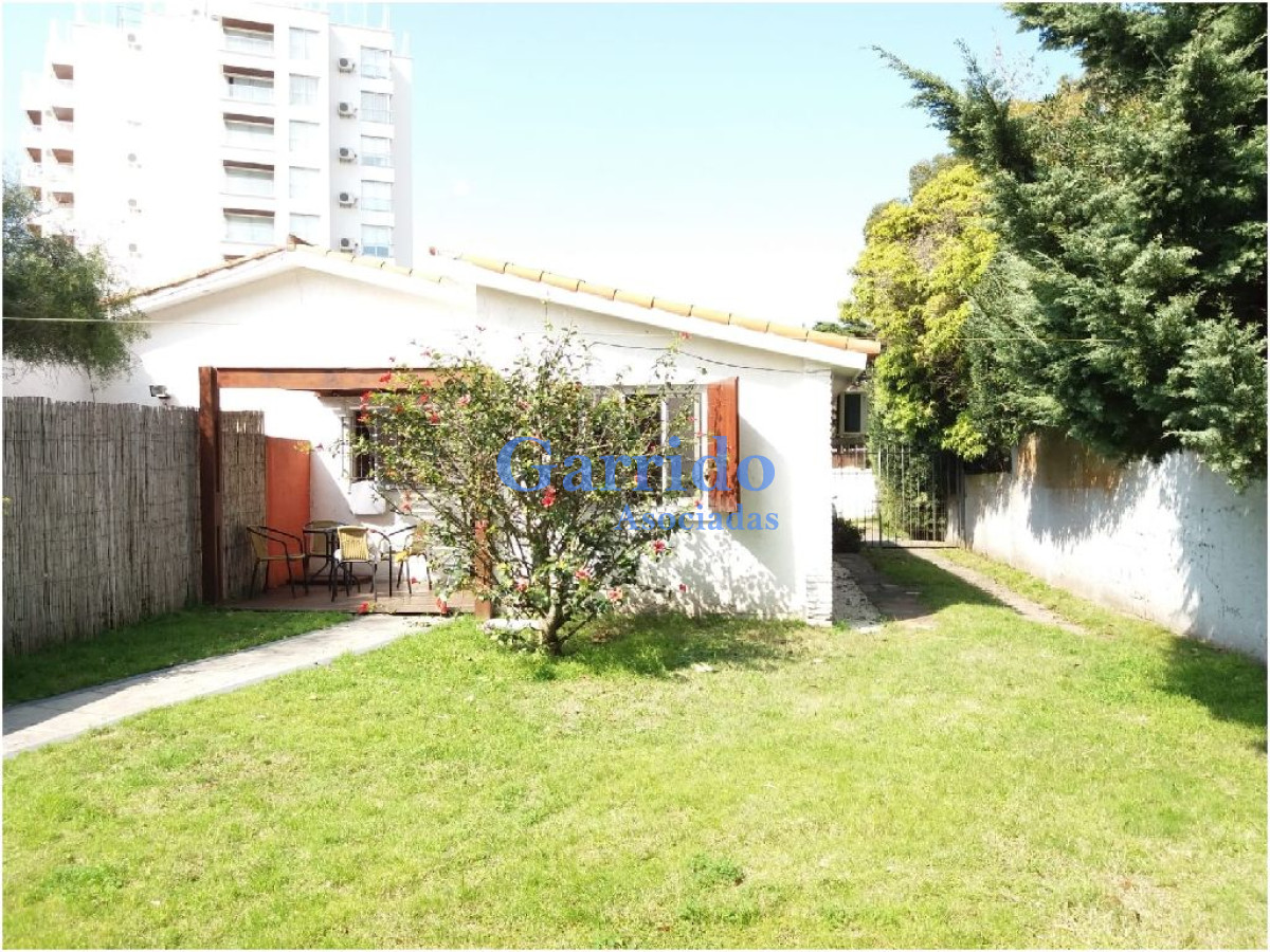 Aidy Grill - GoPunta - Portal Inmobiliario de Punta del Este - Maldonado