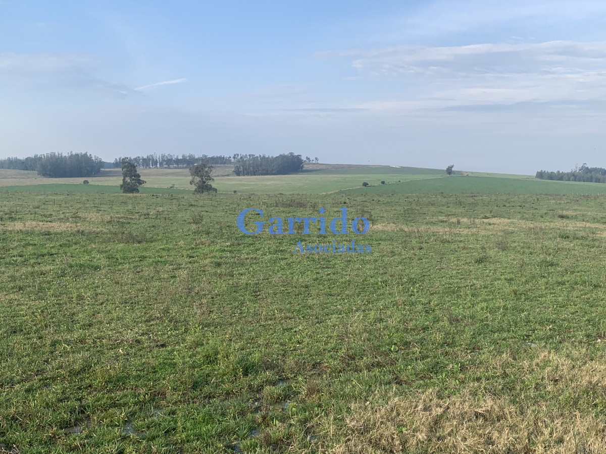 Chacra ID.3301 - Chacra sobre Ruta 104 