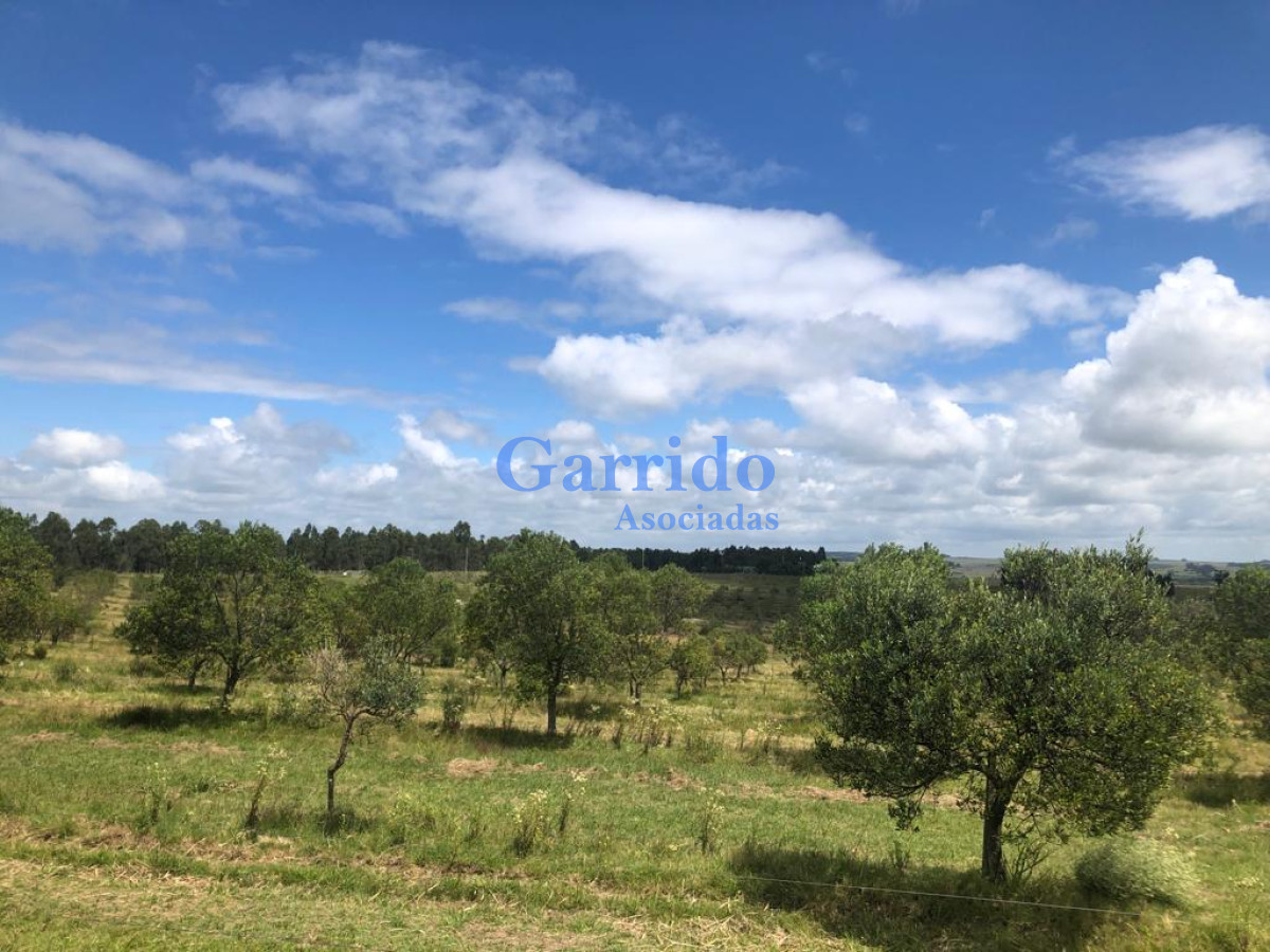 Chacra ID.3238 - Campo a la venta! Paraje garzon