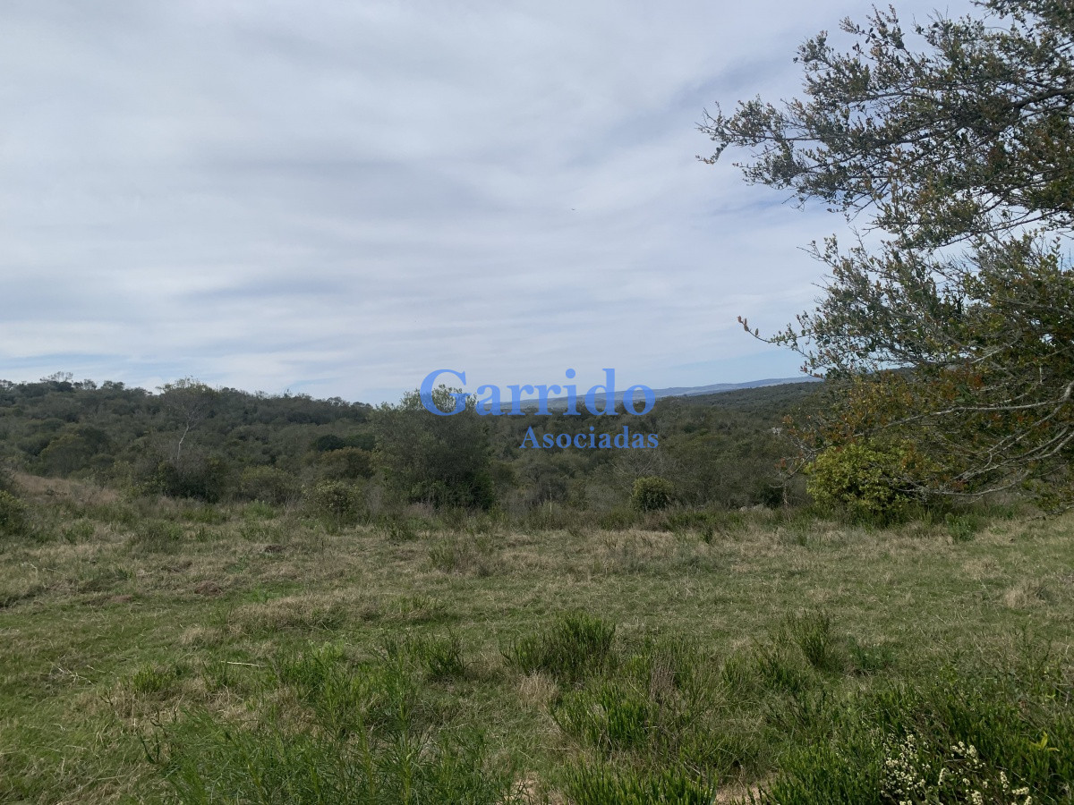 Chacra ID.3320 - Vendo Hermosas Chacras 