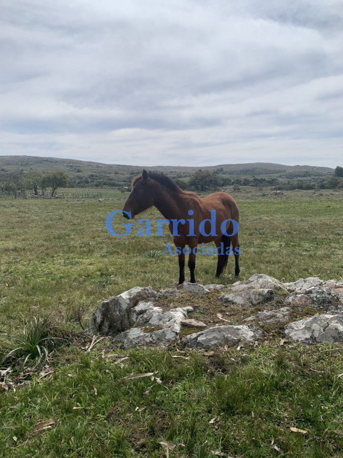 Chacra ID.3320 - Vendo Hermosas Chacras 