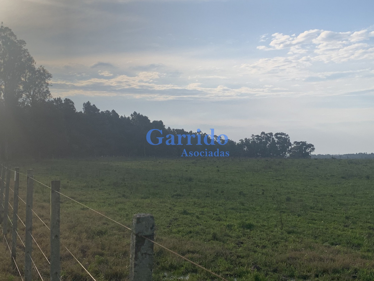 Chacra ID.3301 - Chacra sobre Ruta 104 