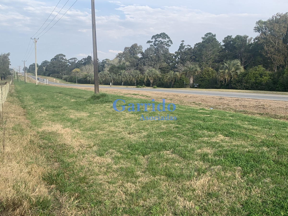 Chacra ID.3301 - Chacra sobre Ruta 104 