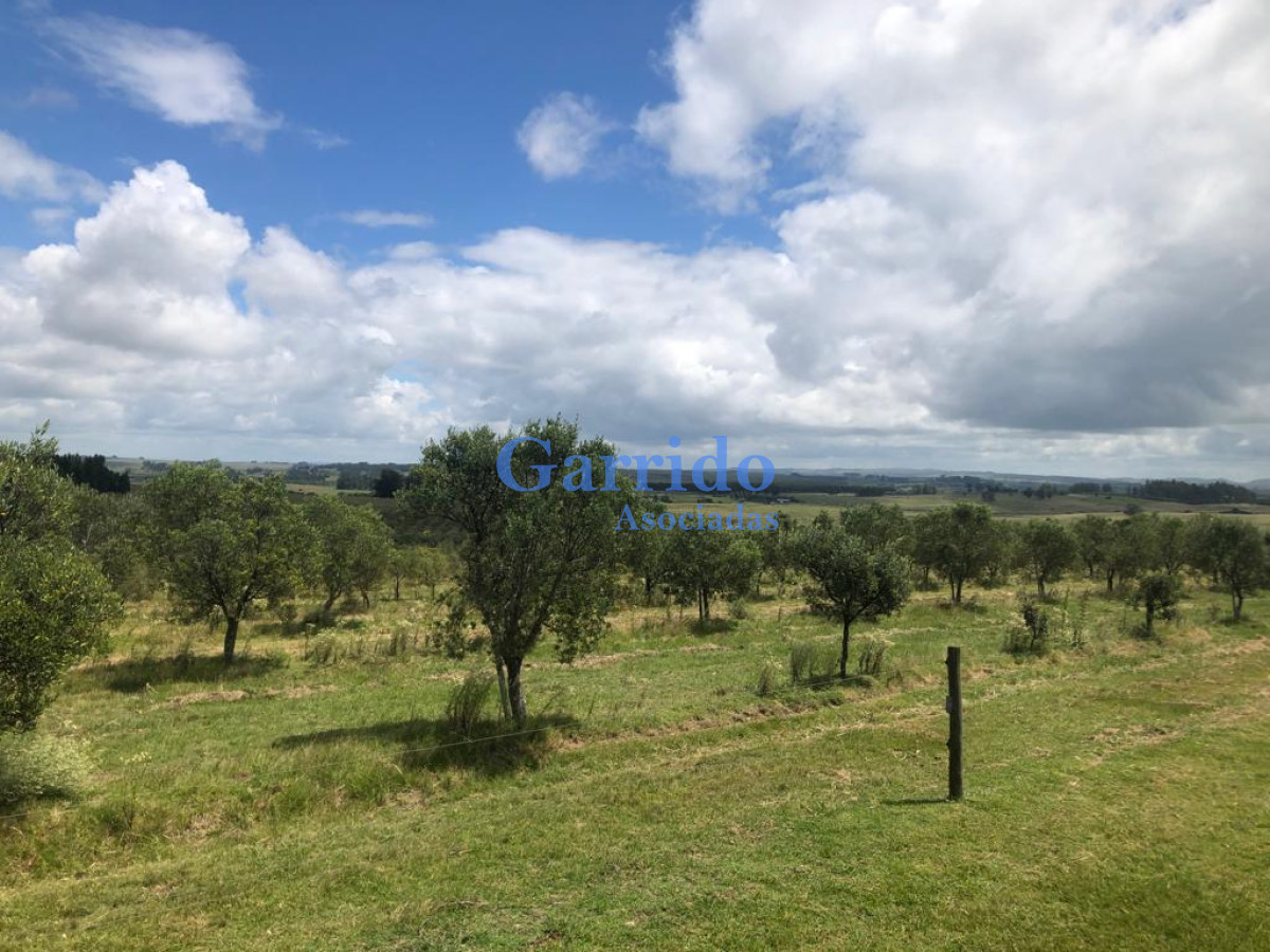 Chacra ID.3238 - Campo a la venta! Paraje garzon