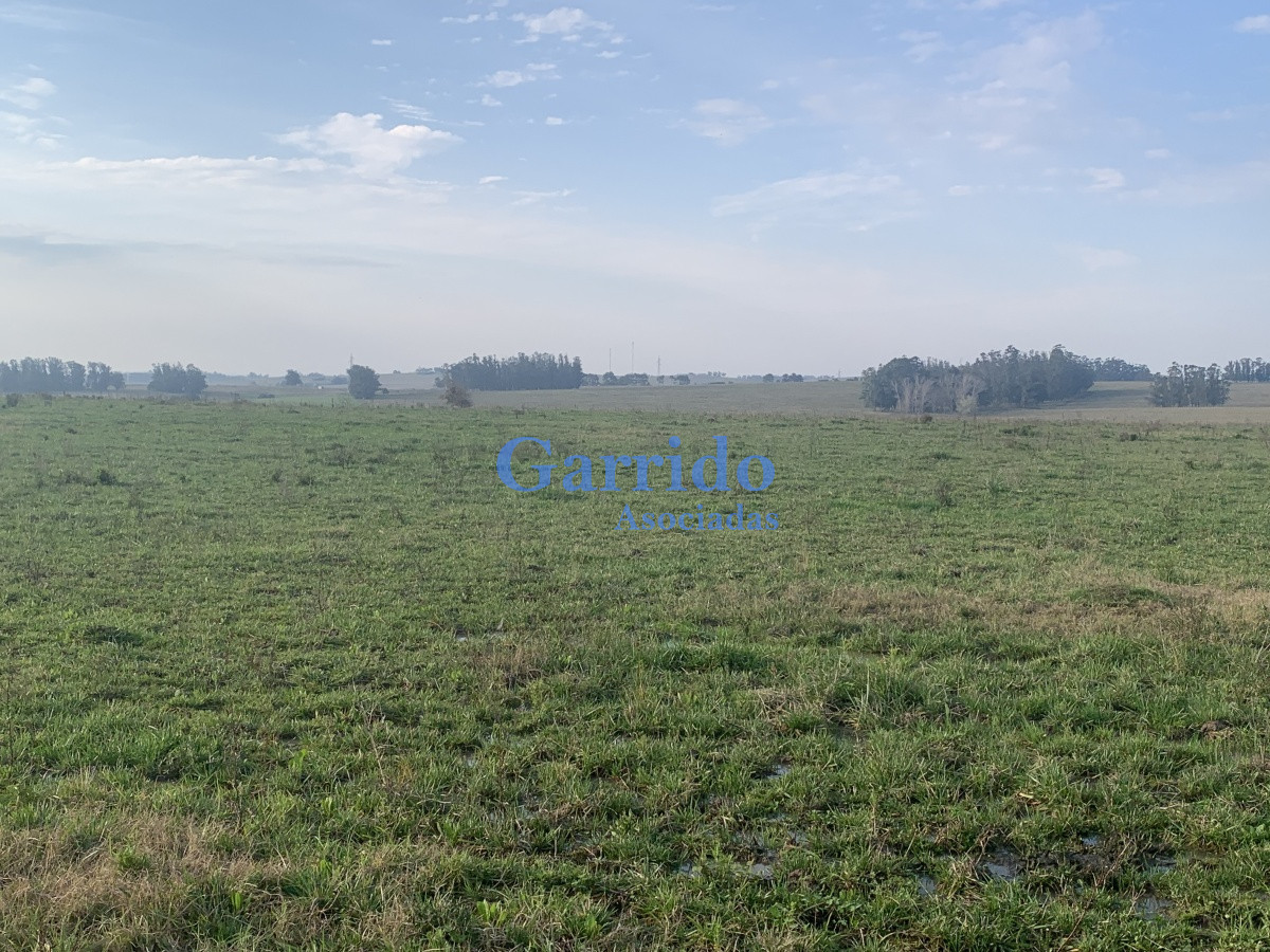 Chacra ID.3301 - Chacra sobre Ruta 104 