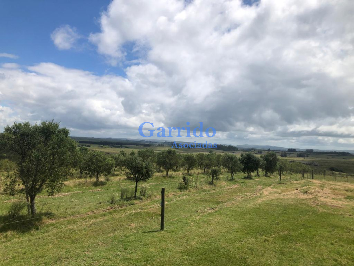 Chacra ID.3238 - Campo a la venta! Paraje garzon