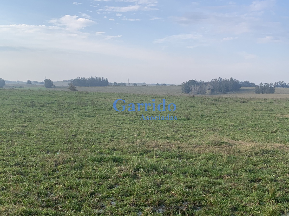 Chacra ID.3301 - Chacra sobre Ruta 104 