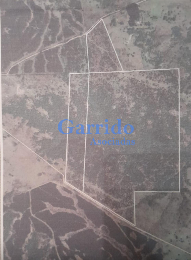 Campo a la venta 