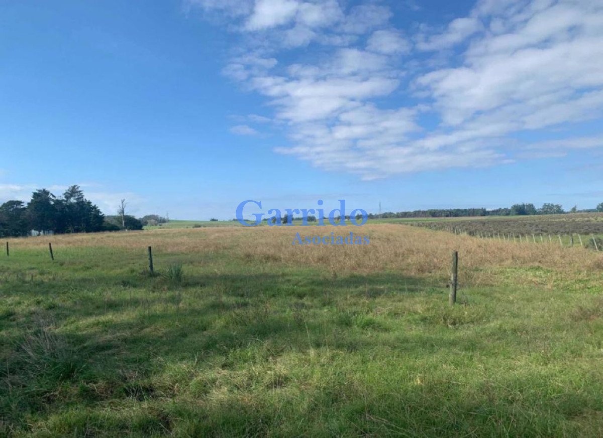 Campo Ref.3252 - Vende Chacra A pasos ruta 104