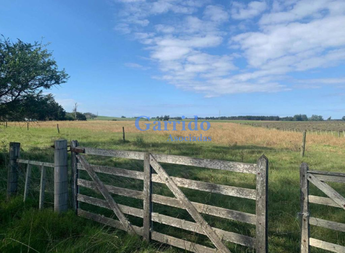Vende Chacra A pasos ruta 104 - GoPunta - Portal Inmobiliario de Punta del Este - Maldonado