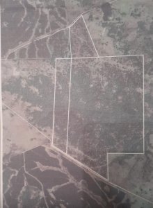 Campo a la venta 