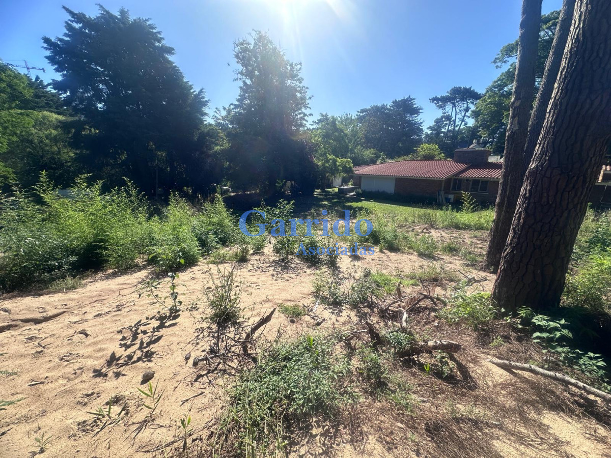 Terreno ID.3615 - Terreno en Punta del Este, Cantegril