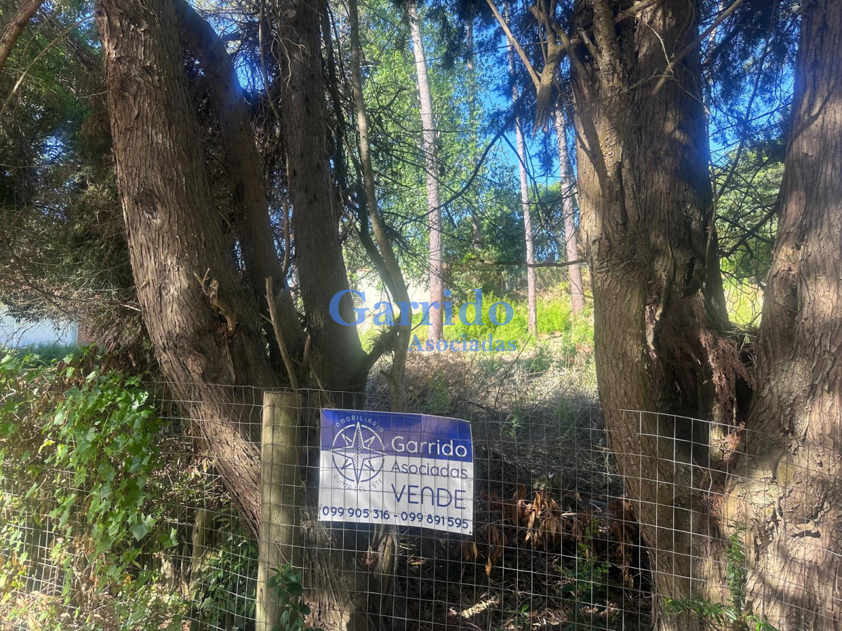 Terreno ID.3615 - Terreno en Punta del Este, Cantegril