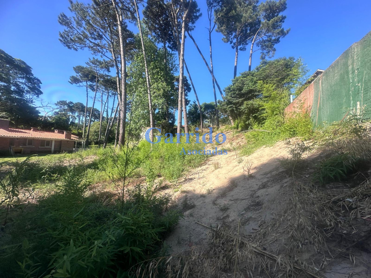 Terreno ID.3615 - Terreno en Punta del Este, Cantegril