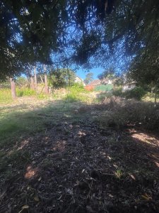 Terreno en Punta del Este, Cantegril
