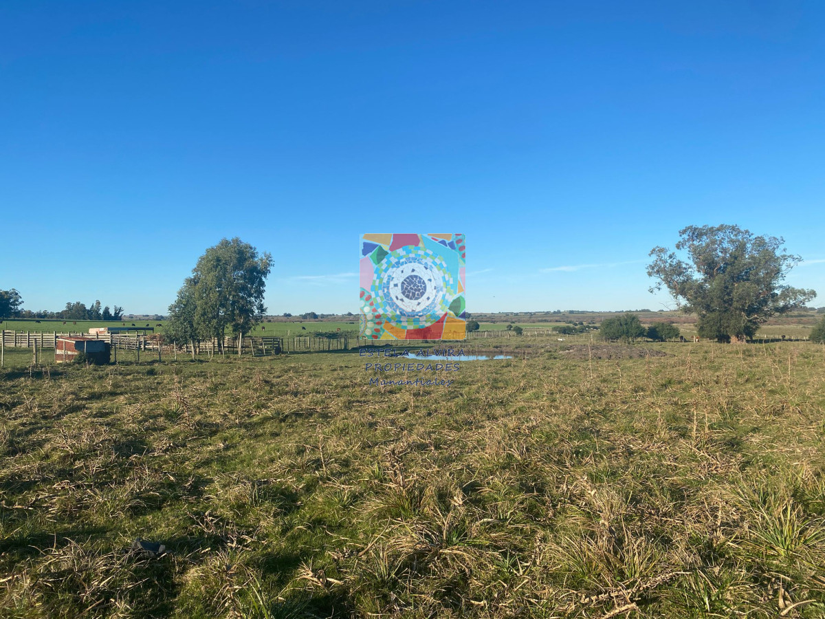 Chacra ID.14534 - 