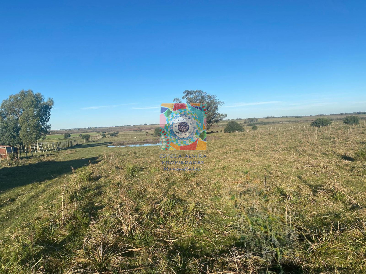 Chacra ID.14534 - 