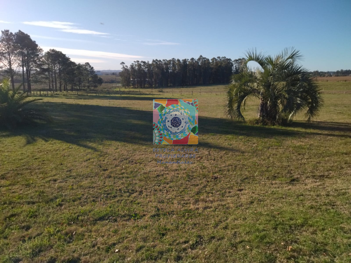 Chacra ID.14481 - 