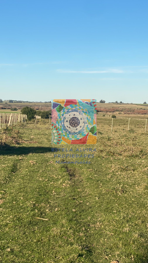 Chacra ID.14534 - 