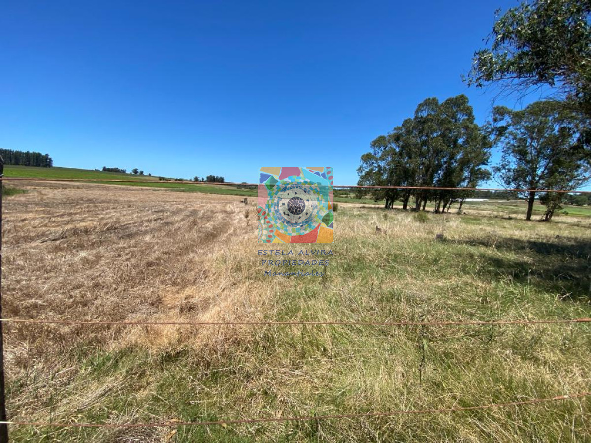 Chacra ID.14418 - 