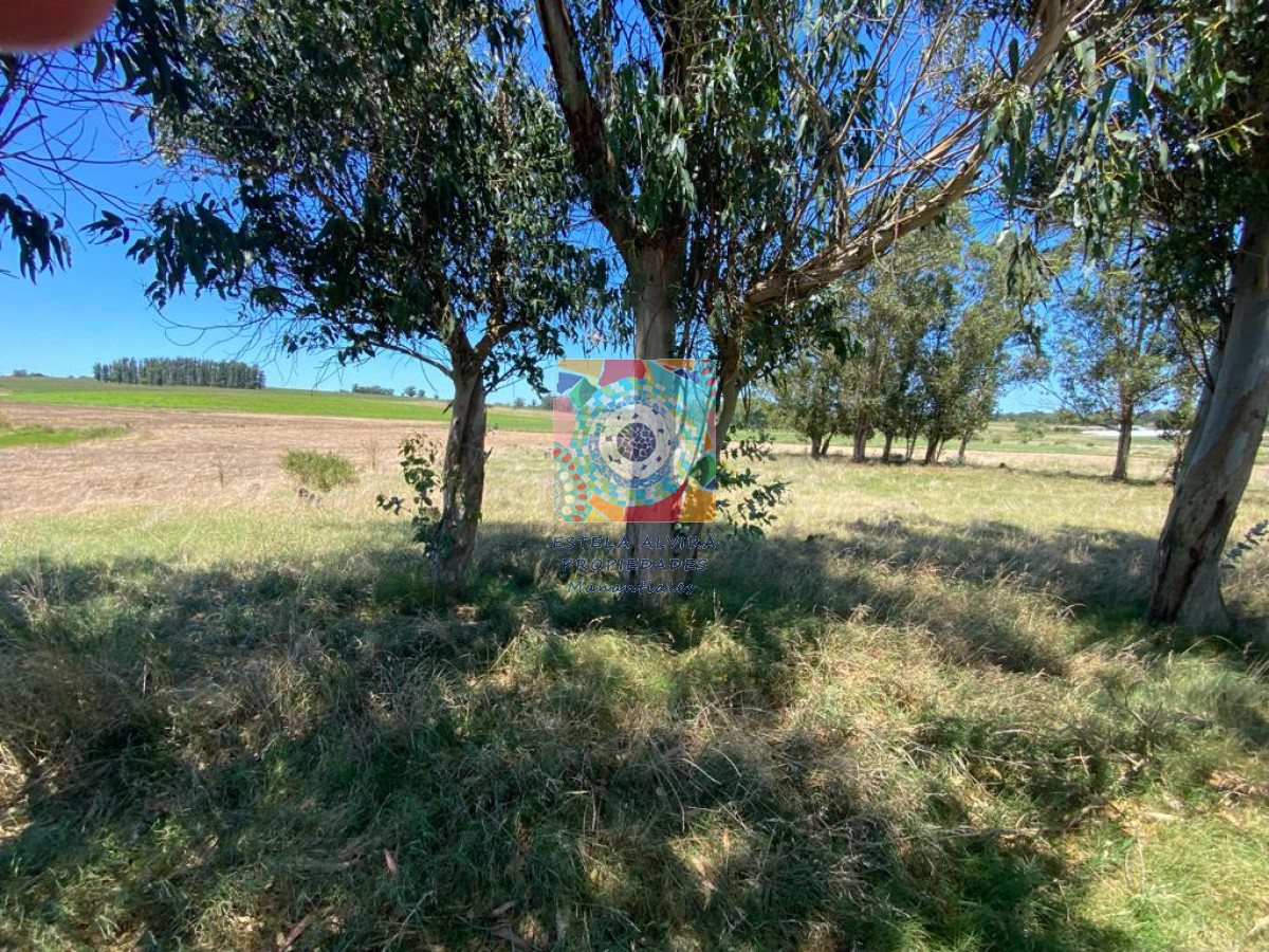 Chacra ID.14418 - 