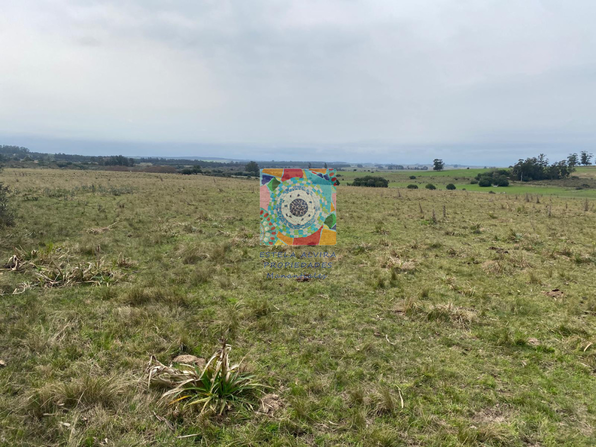 Chacra ID.14480 - 