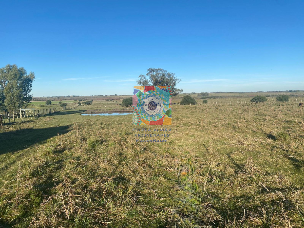 Chacra ID.14534 - 