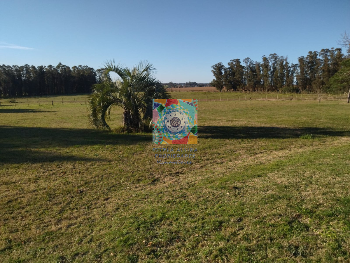 Chacra ID.14481 - 
