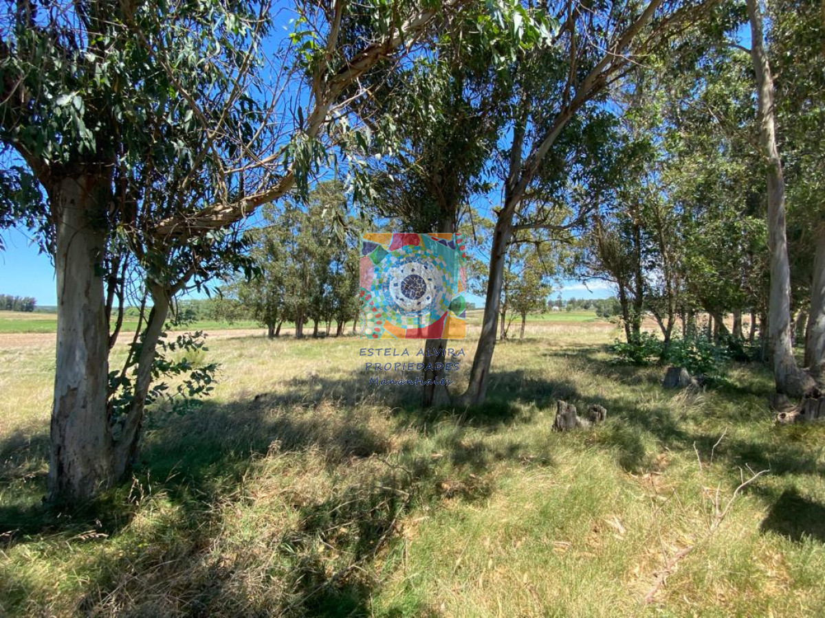 Chacra ID.14418 - 