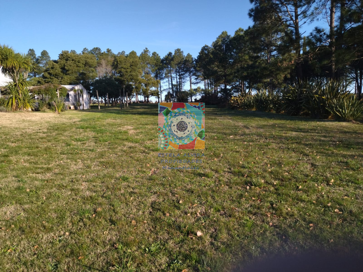 Chacra ID.14481 - 