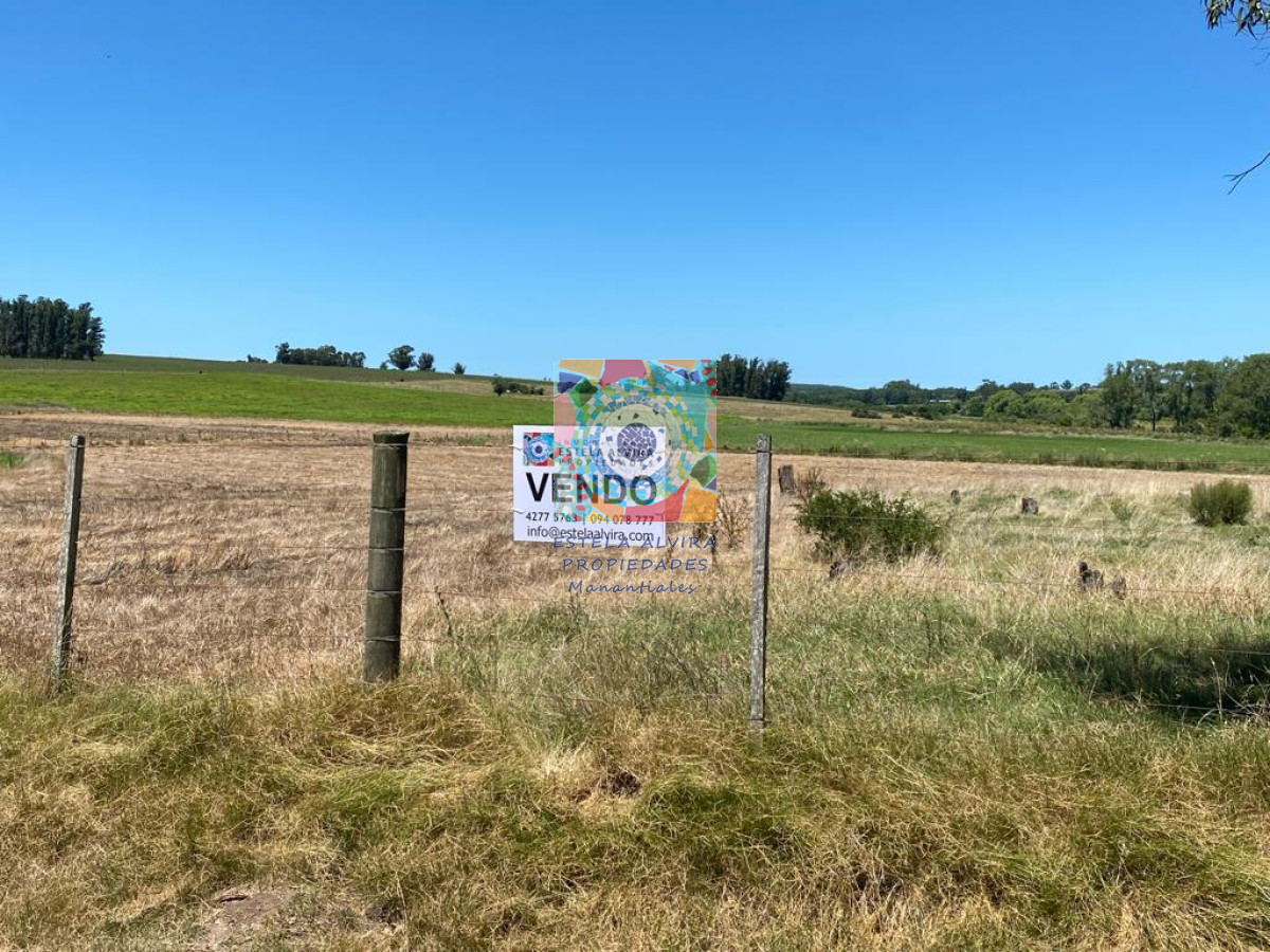 Chacra ID.14418 - 