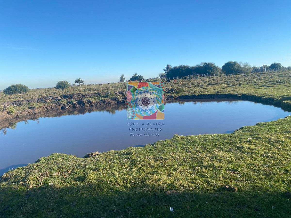 Chacra ID.14534 - 