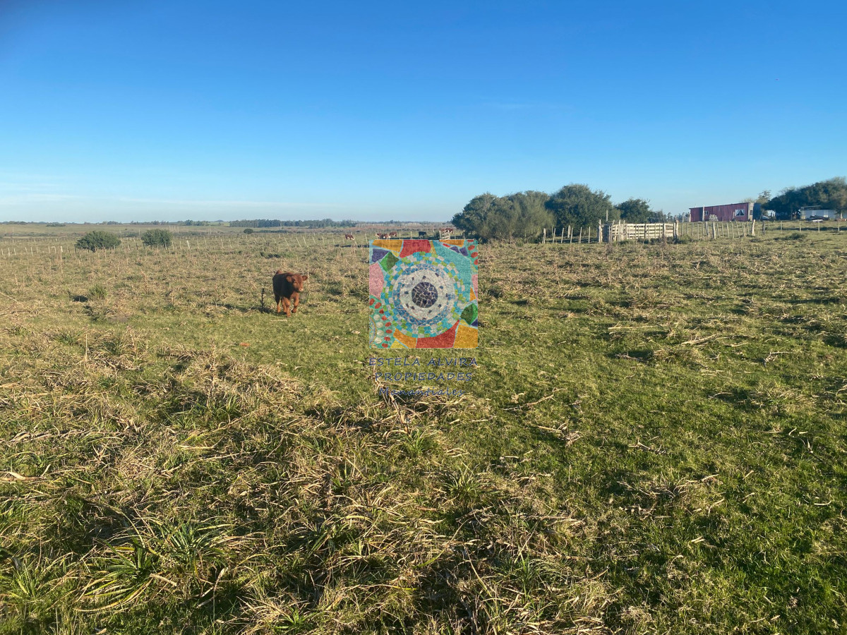 Zona Rural - GoPunta - Portal Inmobiliario de Punta del Este - Maldonado