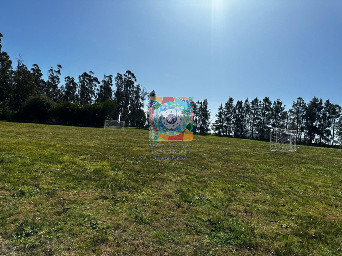 Chacra ID.730 - HERMOSA CHACRA 