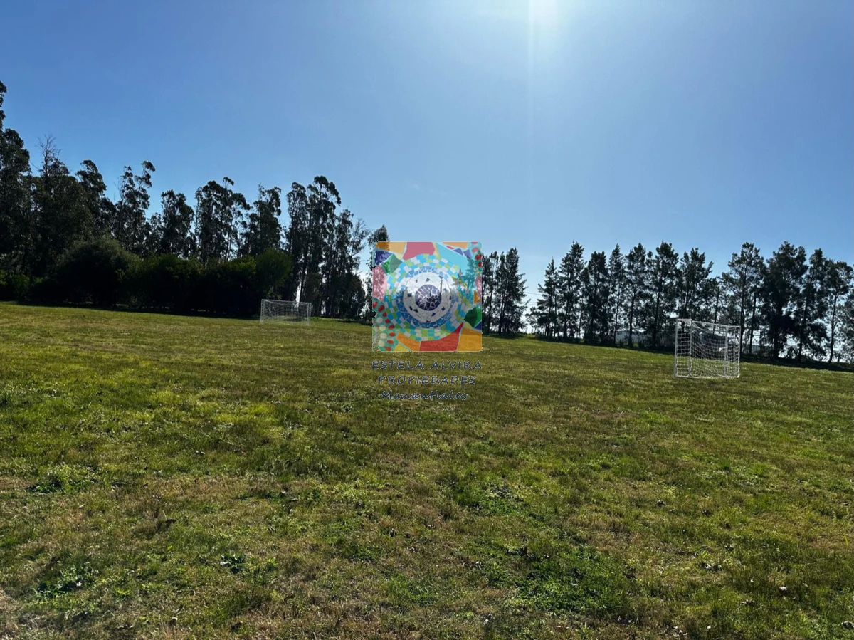 Chacra ID.730 - HERMOSA CHACRA 