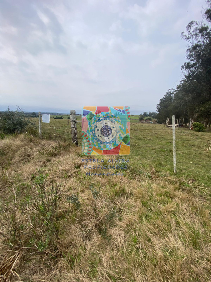 Chacra ID.14480 - 