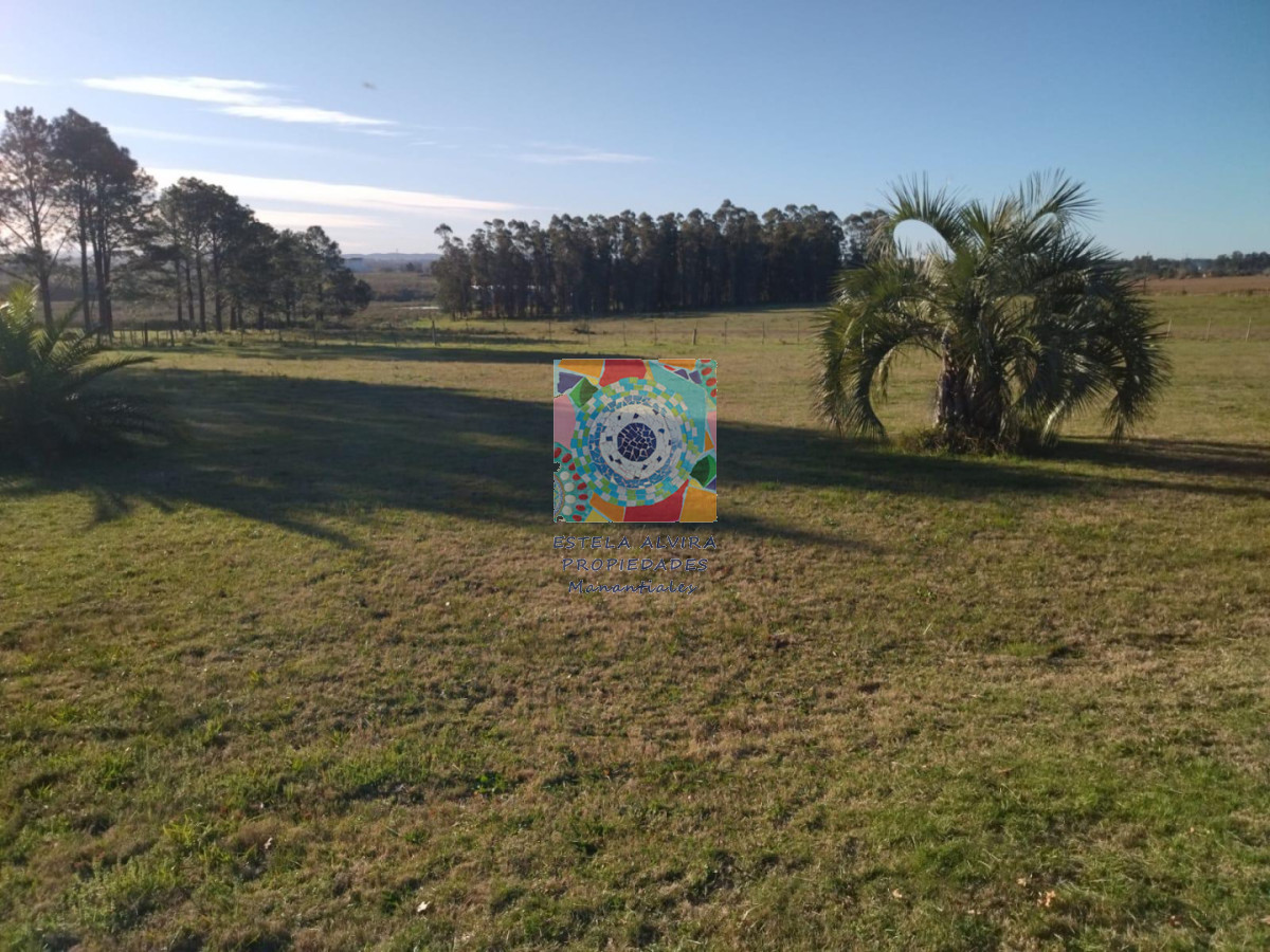 Chacra ID.14419 - 