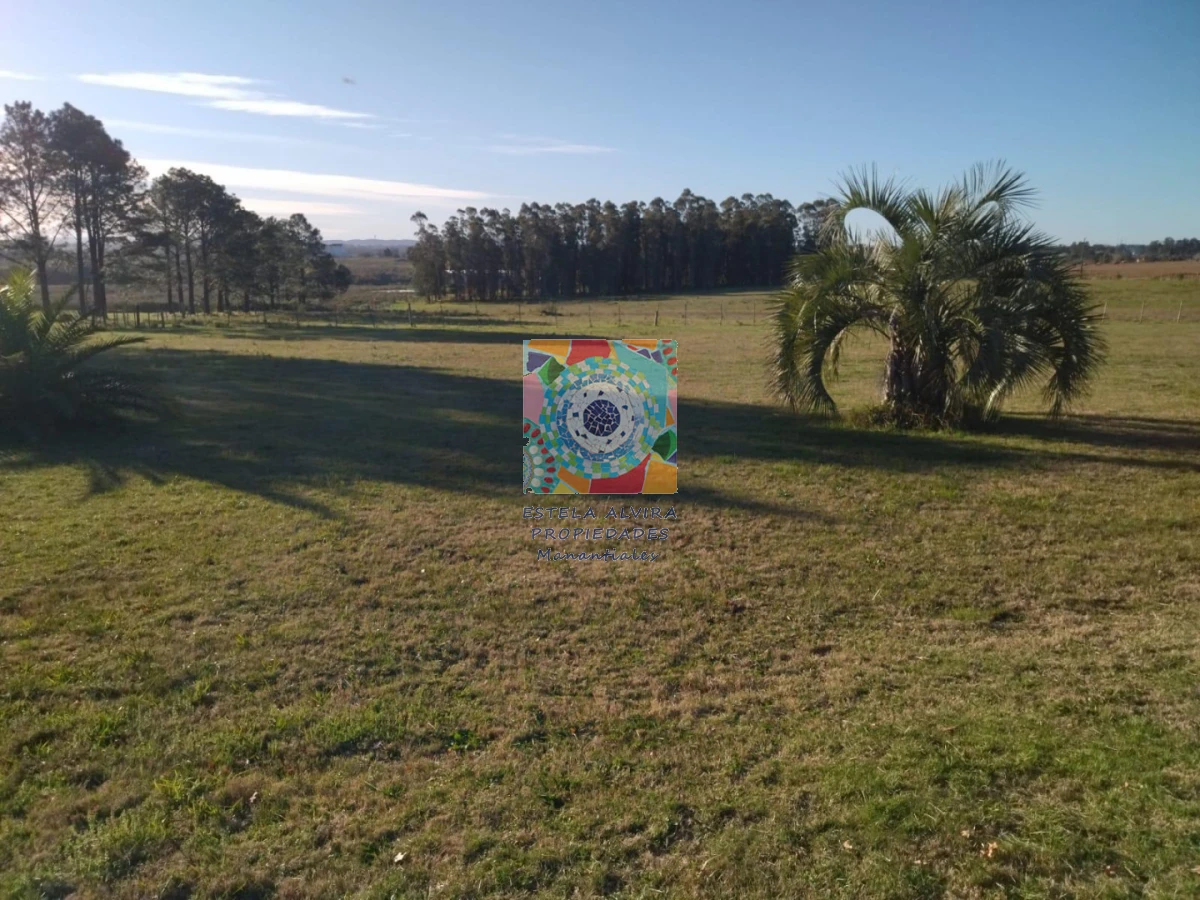 Chacra ID.14419 - 