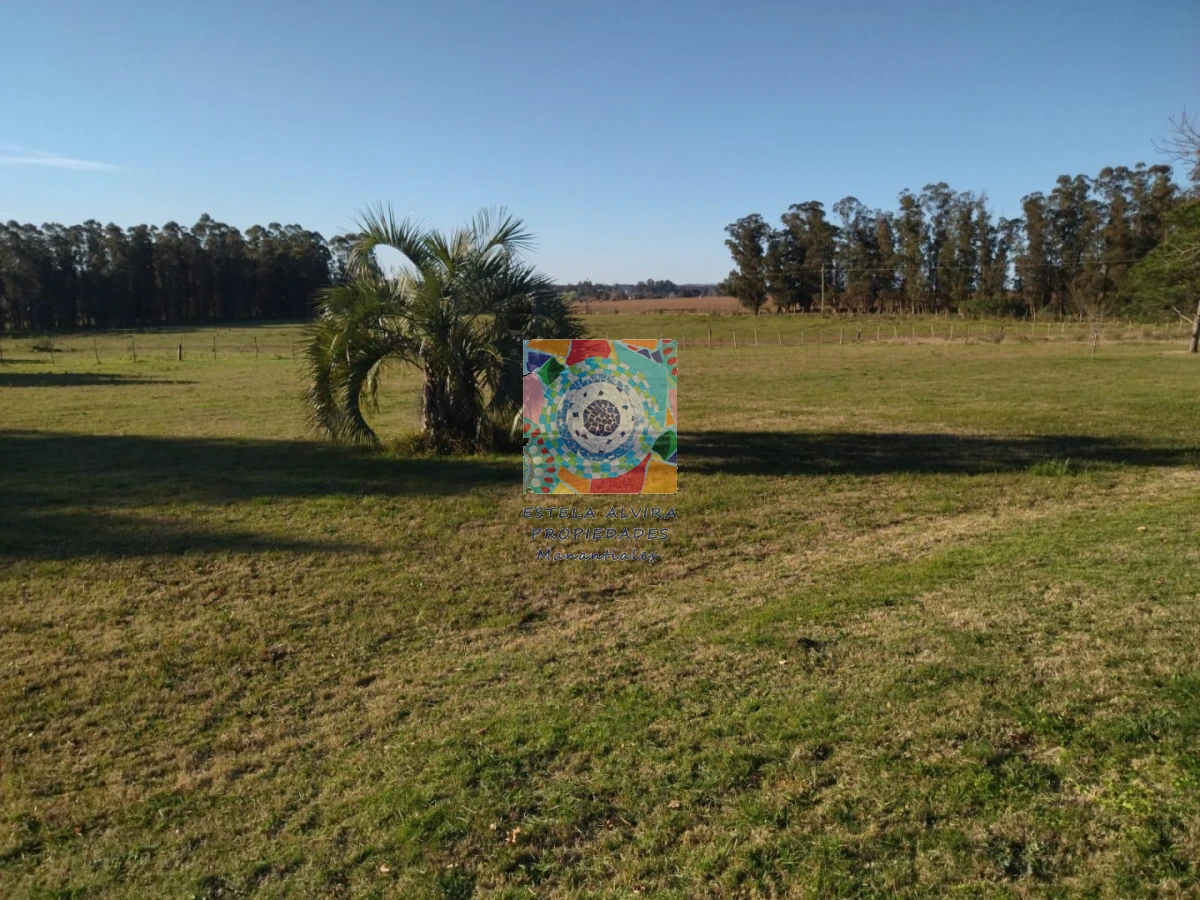 Chacra ID.14419 - 