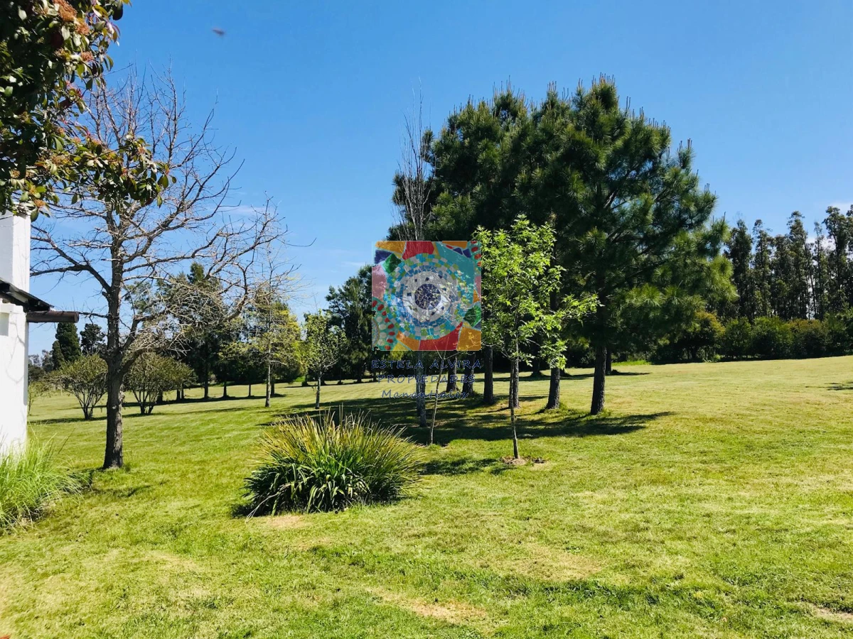 Chacra ID.730 - HERMOSA CHACRA 