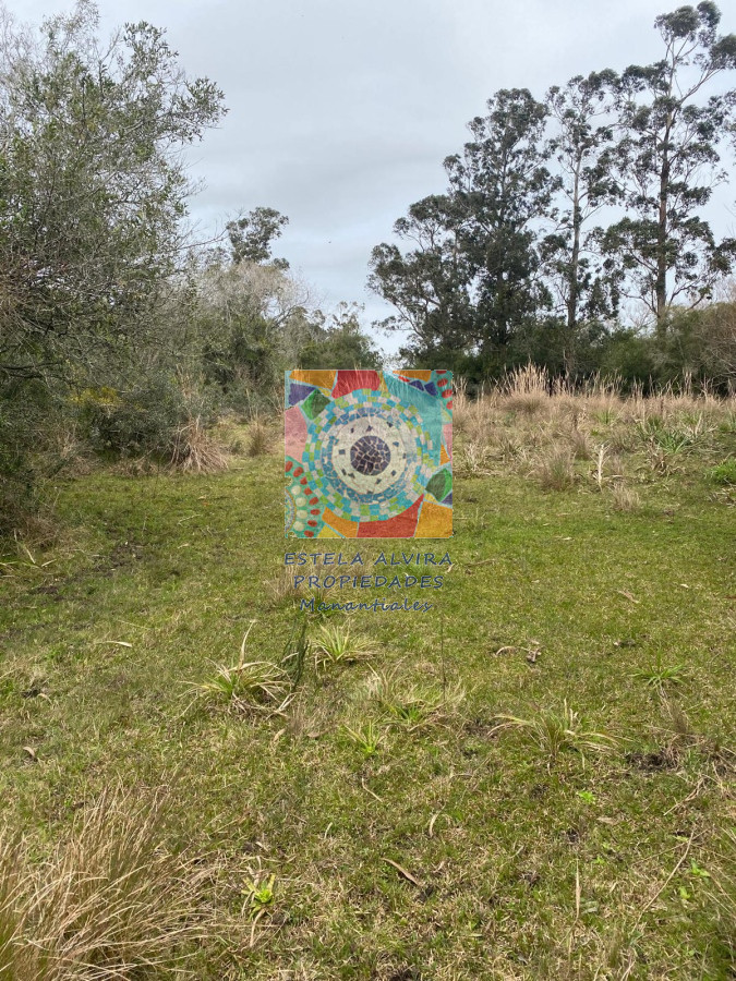 Chacra ID.14480 - 