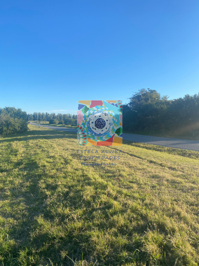 Zona Rural - GoPunta - Portal Inmobiliario de Punta del Este - Maldonado
