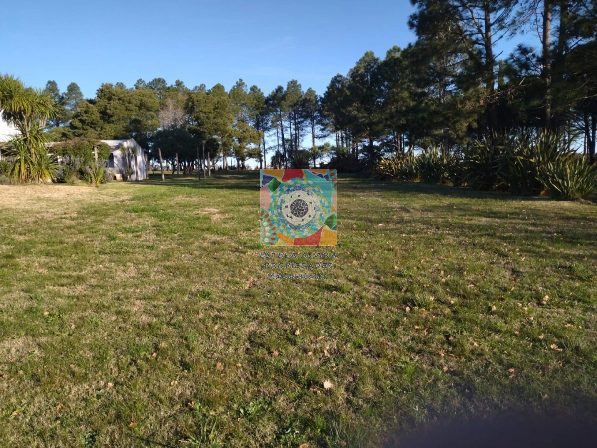 Chacra ID.14419 - 