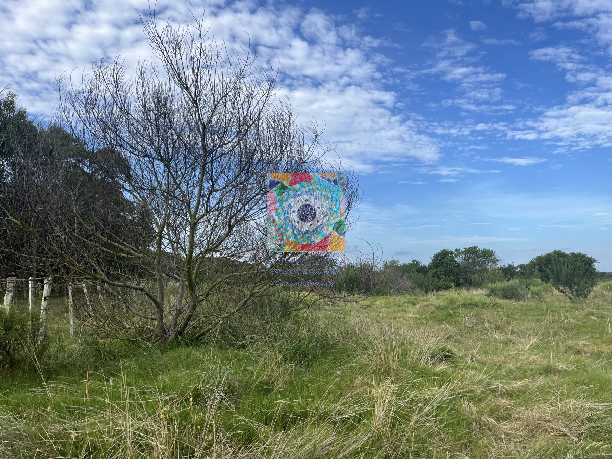 Rincón de José Ignacio - GoPunta - Portal Inmobiliario de Punta del Este - Maldonado