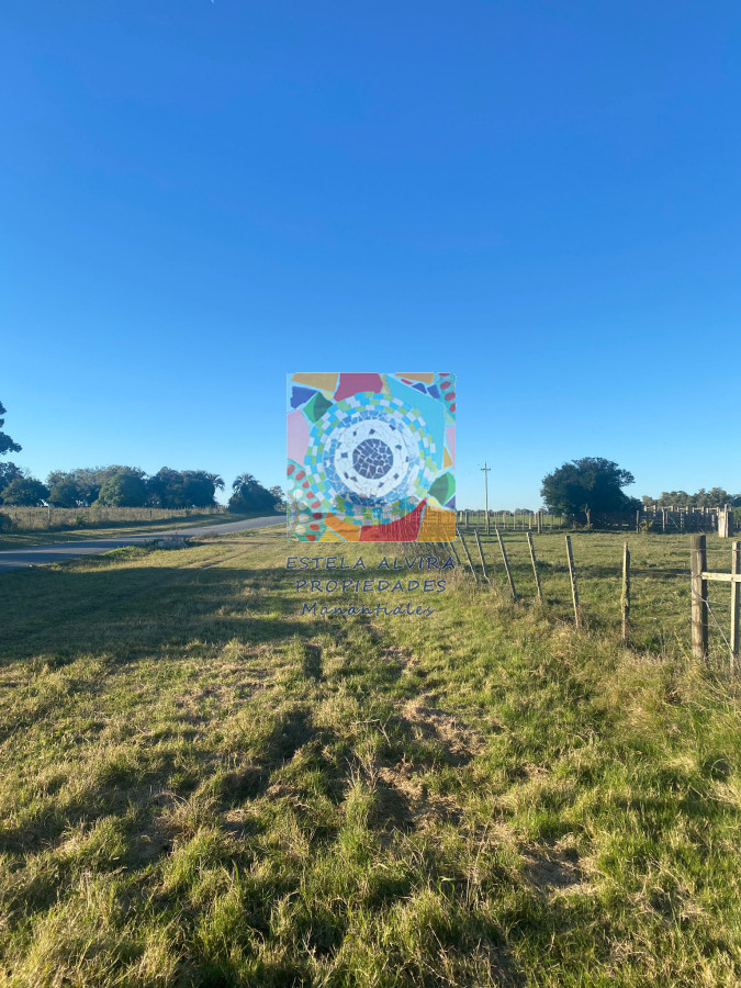 Zona Rural - GoPunta - Portal Inmobiliario de Punta del Este - Maldonado