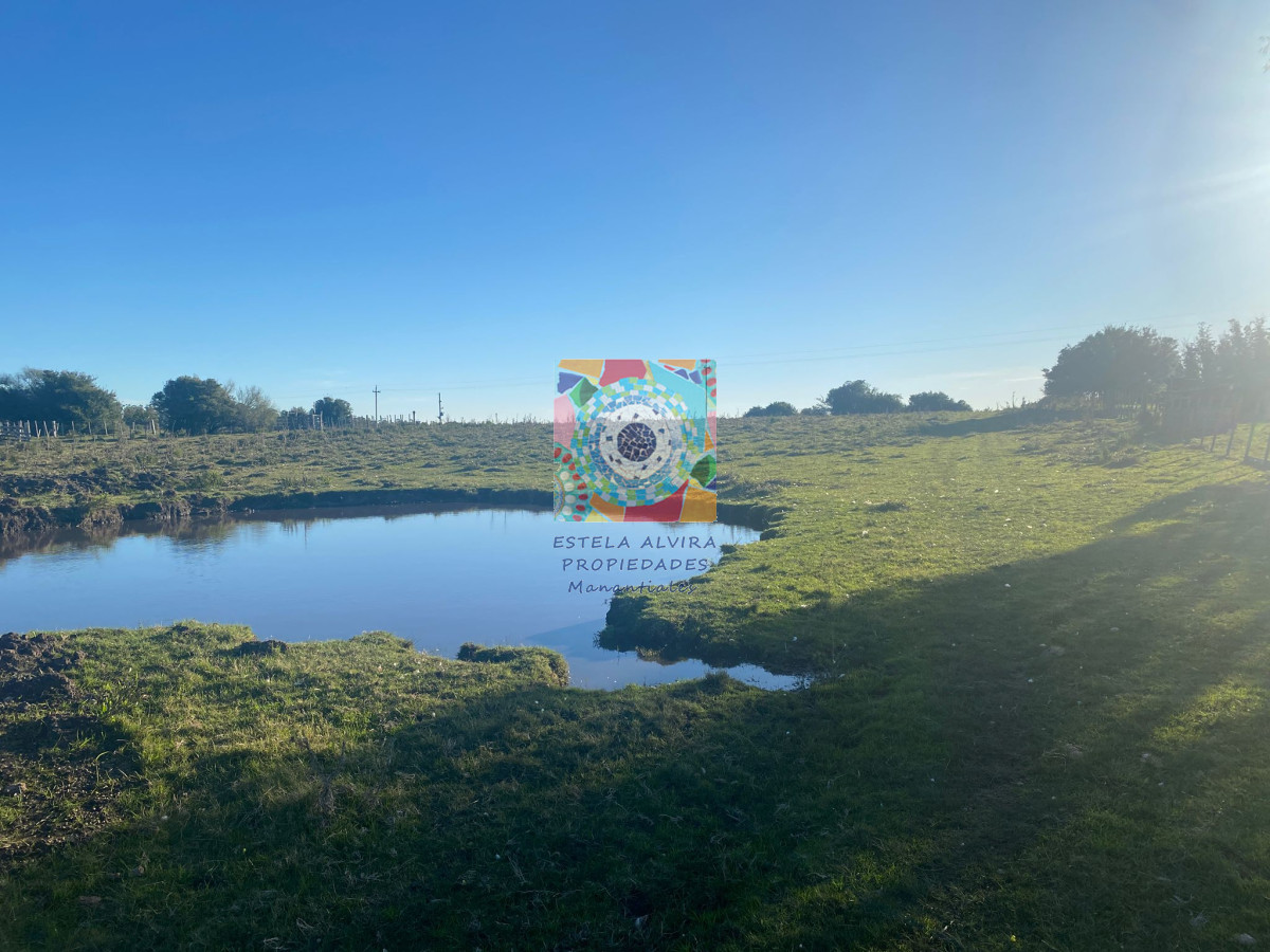 Zona Rural - GoPunta - Portal Inmobiliario de Punta del Este - Maldonado
